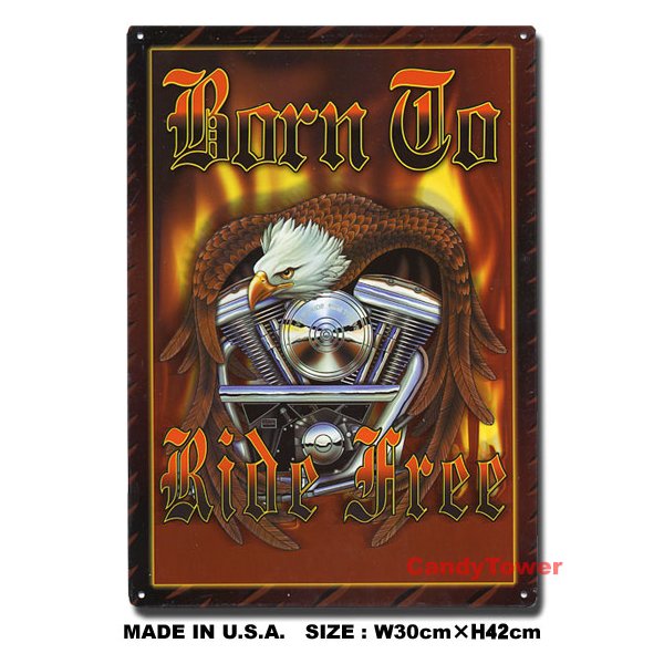 BORN��TO RIDE FREE��-����ꥫ�ϥ��ȥ��亮-���֥ꥭ����