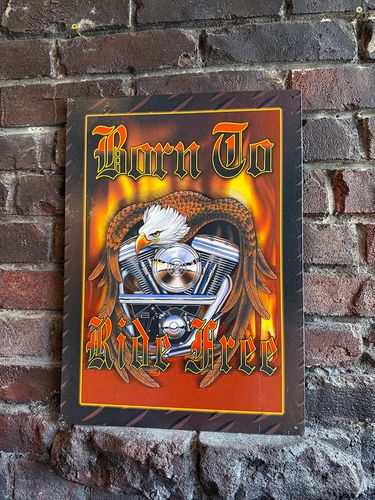 �����뤿������ޤ�Ƥ�������ͳ�����졪�ס�BORN��TO RIDE FREE���֥ꥭ���ġ���V�ĥ��󥨥󥸥������ꥫ�󥤡������