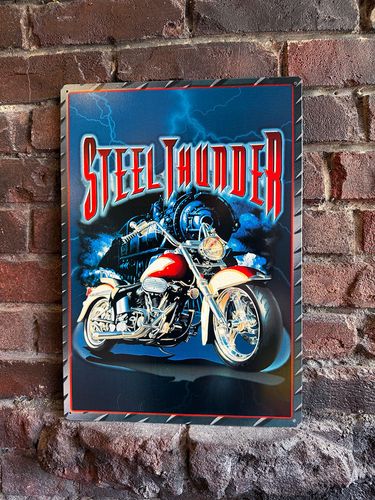 ���ƥ����륵��������ϡ��졼���֥ꥭ���ġ�STEEL THUNDER