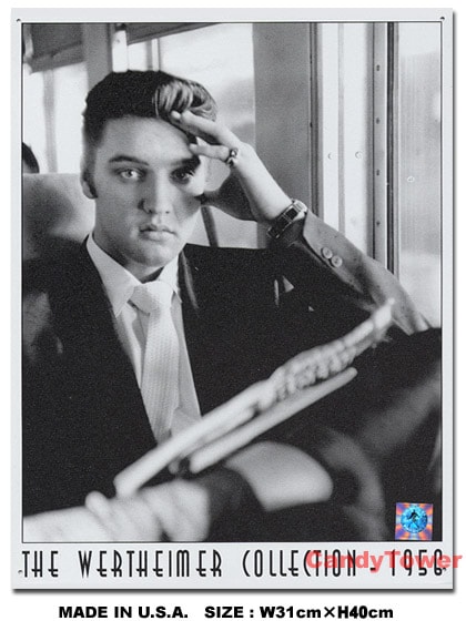 エルビス・プレスリー ゴーイング・ホーム ブリキ看板の通販・販売