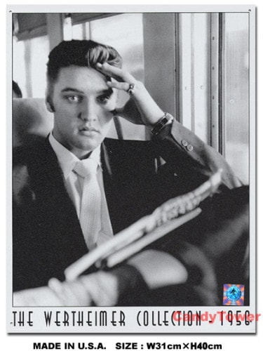 ����ӥ����ץ쥹�꡼���������󥰡��ۡ��ࡡ�֥ꥭ����