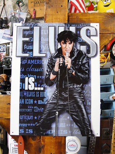 ������������ץ쥹�꡼���֥ꥭ����Elvisis
