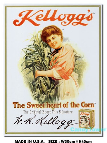 �����å����������ȡ��ϡ��ȡ����֡������󡡥֥ꥭ����