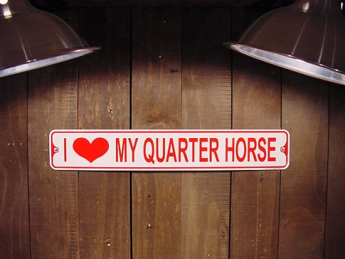 I LOVE MY QUARTER HORSE����������֡��ޥ��������������ۡ������ߥ˥��ȥ꡼�ȥ�����