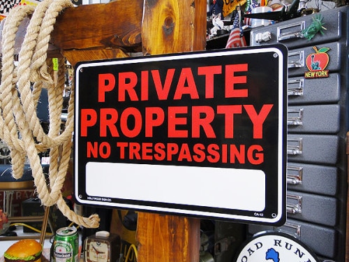 ����ꥫ�Υץ饹���å�������ܡ��ɡ��إӡ����󥹥����ס��ʻ�ͭ�ϤˤĤ�Ω������ػߡˡ�