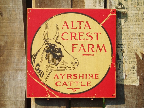 �ΤΥ��ɥХ������󥰡����åɥ����󡡥��꡼�������ơ��ʥ��륿���쥹�ȥե������