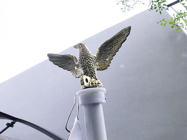 星✧ 様　アメリカンフラワーセット 楽天市場】何色が入っているかお楽しみ! アメリカンフラワー