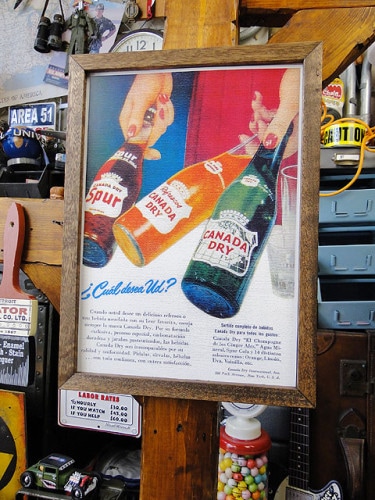 ݥե졼ࡡʥʥǥɥ饤ˡݥե졼Υå