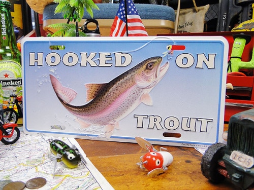 �쥤��ܡ��ȥ饦�ȡ��饤���󥹥ץ졼��