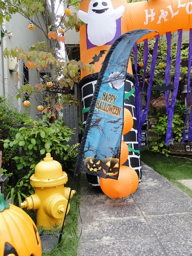 ϥ󡡥եåХʡʥ֥롼ˡ