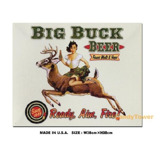 �ӥå��Хå��ӥ������֥ꥭ����