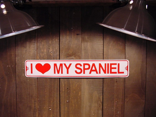 I LOVE MY SPANIEL����������֡��ޥ������ѥ˥��롡�ߥ˥��ȥ꡼�ȥ�����