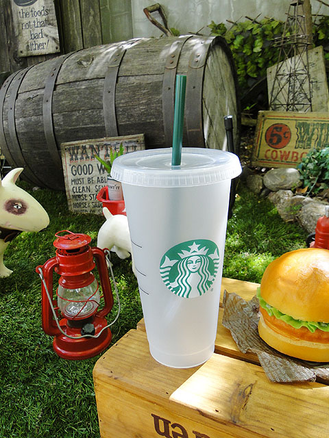 スターバックスコーヒー ストロータンブラーの通販・販売 | アメリカ 