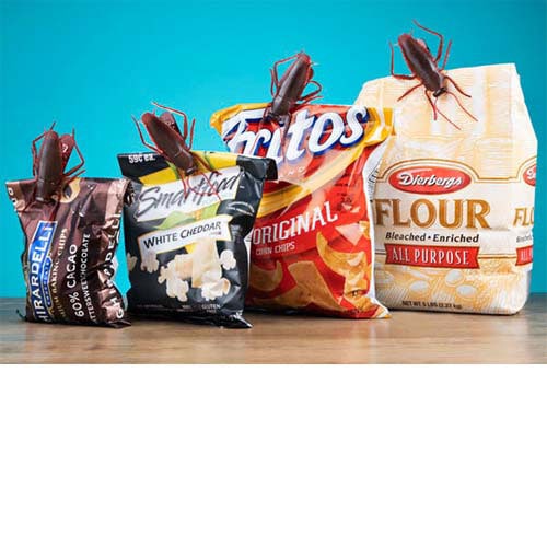 キャンプ用品　まとめ売り　ゴールゼロ　クレイモア　バリスティクス　おまけ付き ホワイトベースキャンプ WHITE BASE CAMP Gアーマー（ゴールゼロ用充電