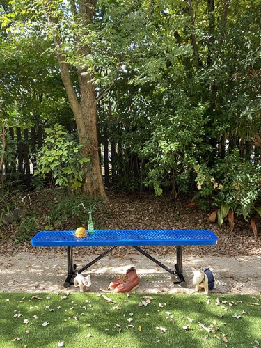 U.S.�ѡ����٥�������󥰥����ס��ʥ֥롼��