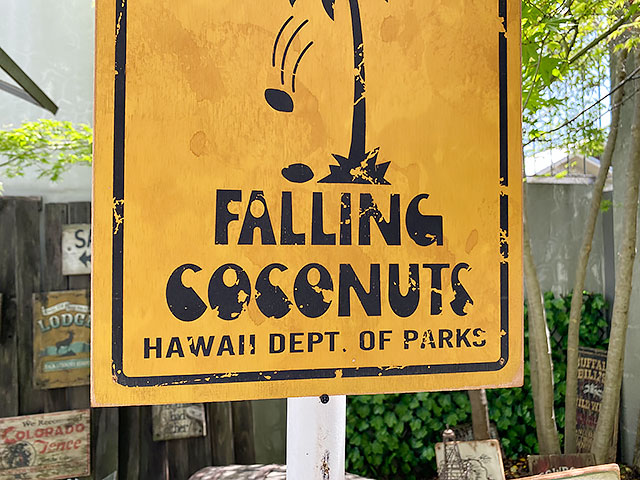 ハワイの道路標識 ウッドサイン （ココナッツ落下注意）の通販・販売