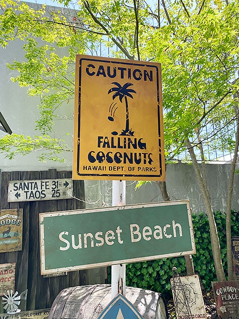 ハワイの道路標識 ウッドサイン （ココナッツ落下注意）の通販・販売