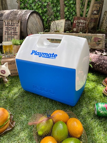 イグルー　プレイメイト　エリート　15L　（ブルー）|ケース/収納/クーラーボックス|アウトドア