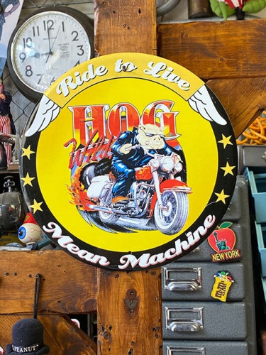 ϡ졼֥ۥå磻ɡ饦ɷ֥ꥭ