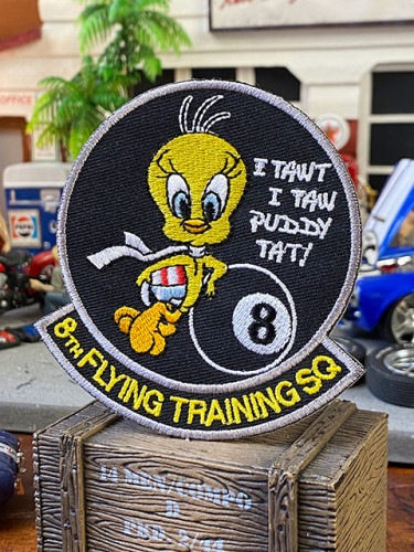 ȥƥߥ꥿꡼åڥ󡡡8TH FLYING TRAINING SQ