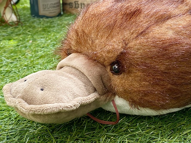 カモノハシ ティッシュケースの通販・販売 | アメリカ雑貨の