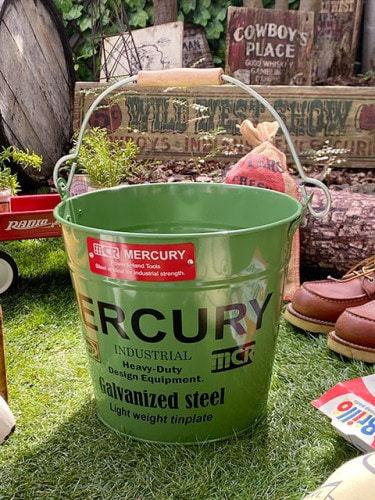 �ޡ�����꡼���Х��ġ��쥮��顼��������10L���ʥ�������