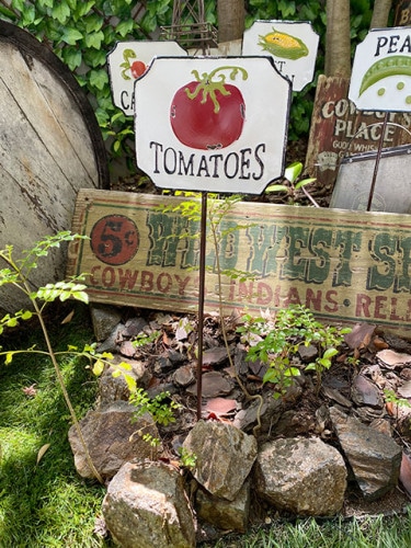 �٥����֥롡�����ǥ󥹥ƥ��å����ʥȥޥȡˡ�ñ��