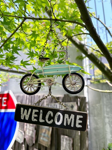 �ӡ������롼�����������륫�ॵ���󡡡ʼ��ο������ܥ꡼��