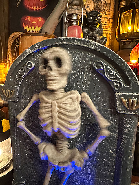 センサーで反応して踊る！光る！ダンシングスケルトンの通販・販売