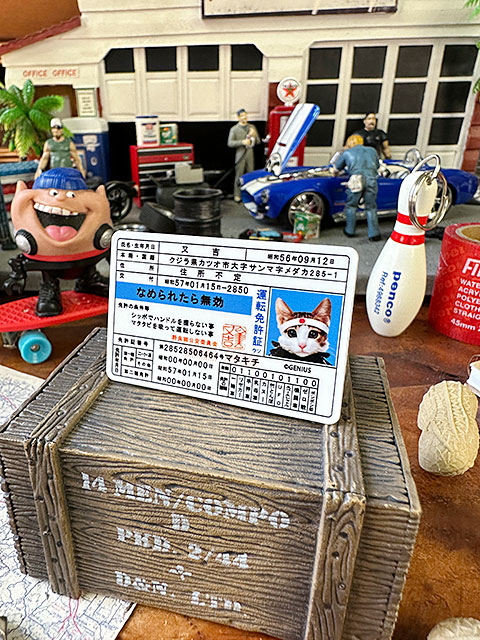 なめんなよ なめ猫 ステッカー Sサイズ （免許証）の通販・販売