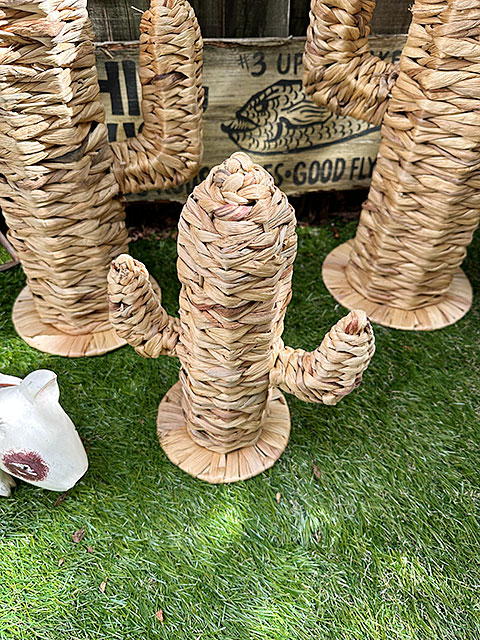 ヒヤシンス カクタス オーナメント オブジェ （Sサイズ） 高さ