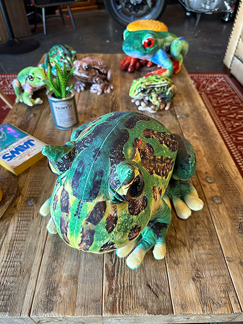 リアル爬虫類ぬいぐるみ ベルツノガエル Lサイズ 30cmの通販・販売