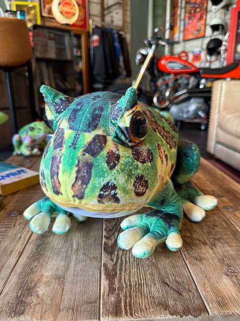 ツノガエル ぬいぐるみ リアル爬虫類ぬいぐるみ ベルツノガエル Lサイズ 30cmの通販・販売