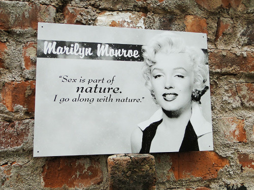 �ޥ��󡦥��������ͥ����㡼���֥ꥭ����