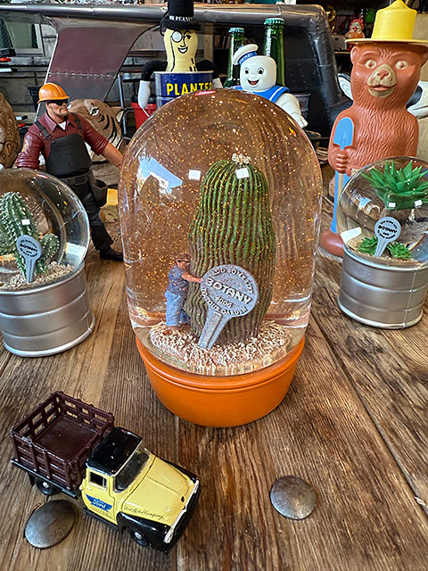 新品 サボテン カクタス オブジェ インテリア グリーン ダルトン