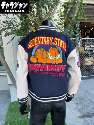 ルーニーテューンズ トゥイーティー スタジャン Lサイズのみの展開