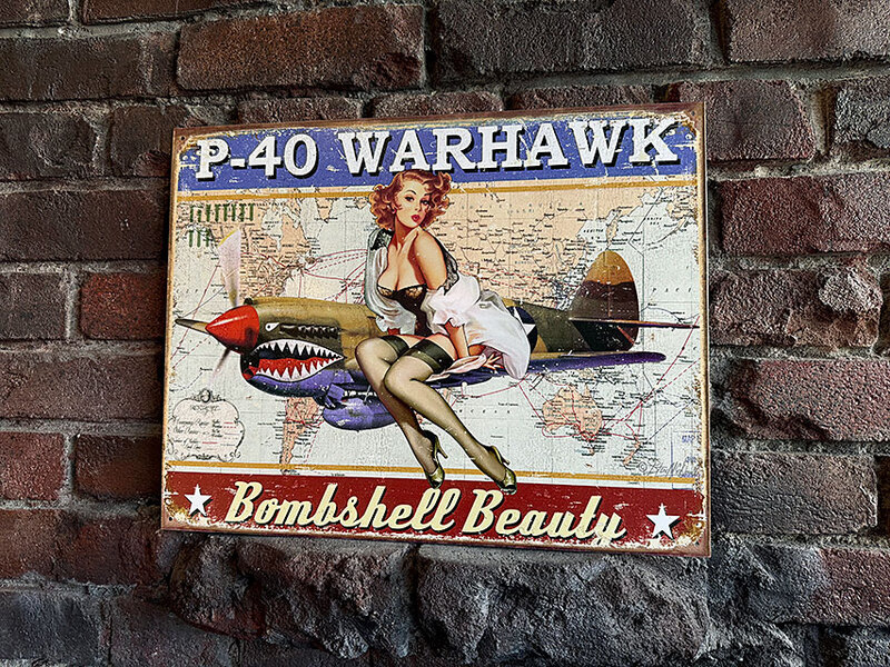 ミリタリー ピンナップガール アート ブリキ看板 （P-40 WARHAWK）の