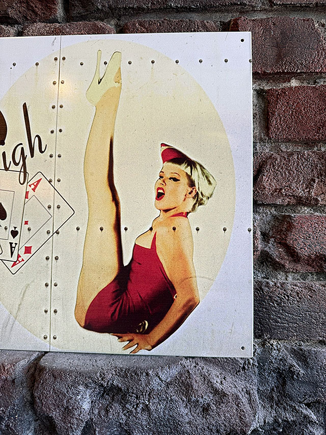 ミリタリー ピンナップガール アート ブリキ看板 （ACES HIGH）の通販