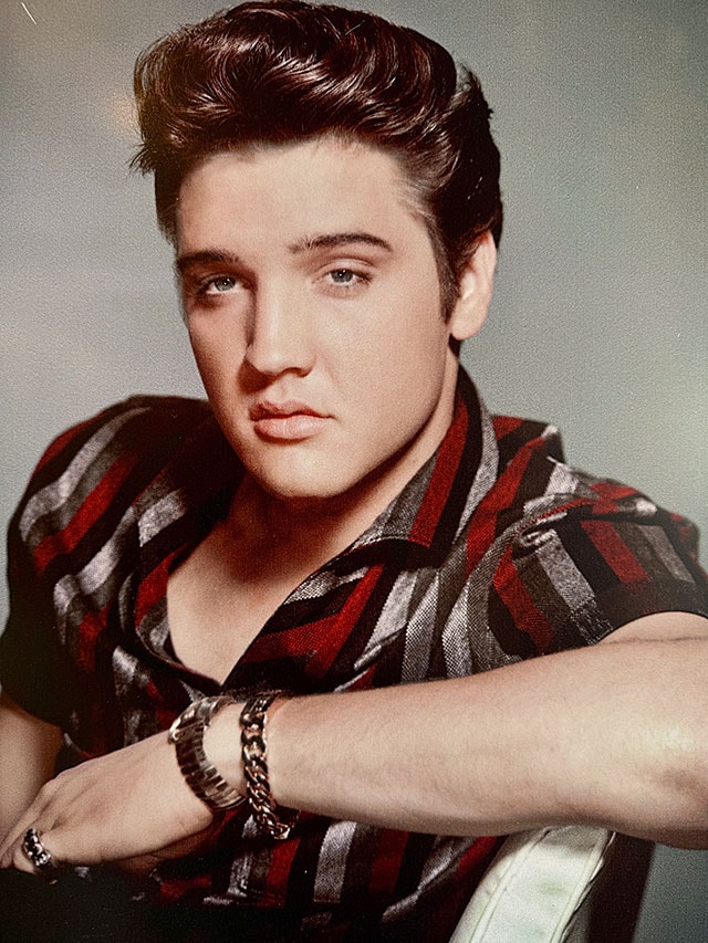 エルヴィス・プレスリー ブリキ看板 （アーリープレスリー）の通販