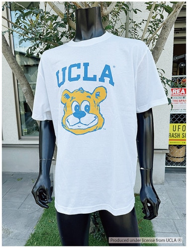 UCLAե롡åTġʥ֥롼٥