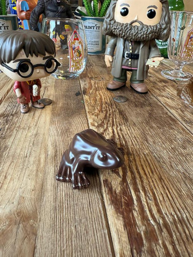 映画　ハリーポッター　カエルチョコ　箸置き　スプーンレスト|映画関連グッズ|もはや店長すら迷子になるアメ雑ジャングル