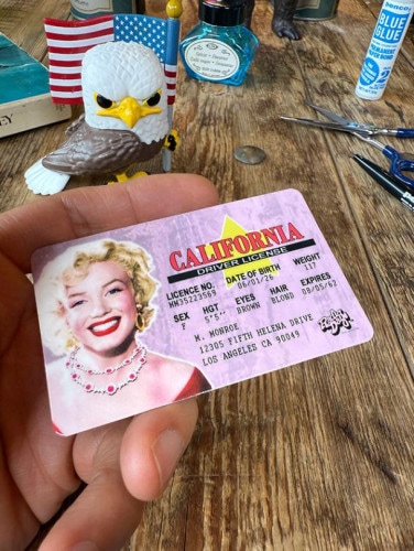 パロディ免許証　フェイマスピープル　ライセンスカード　（マリリン・モンロー）|映画関連グッズ|もはや店長すら迷子になるアメ雑ジャングル