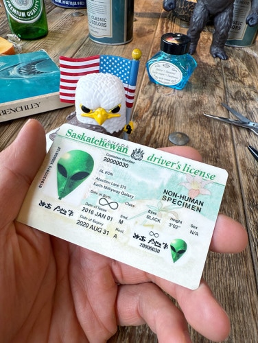 パロディ免許証　フェイマスピープル　ライセンスカード　（宇宙人/エイリアン）|エイリアンのホルマリン漬け/宇宙雑貨|もはや店長すら迷子になるアメ雑ジャングル