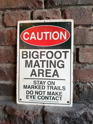 ���ա����ӥå��եåȸ������ꥢ���ٹ���ġ��֥ꥭ���ġ����硼������