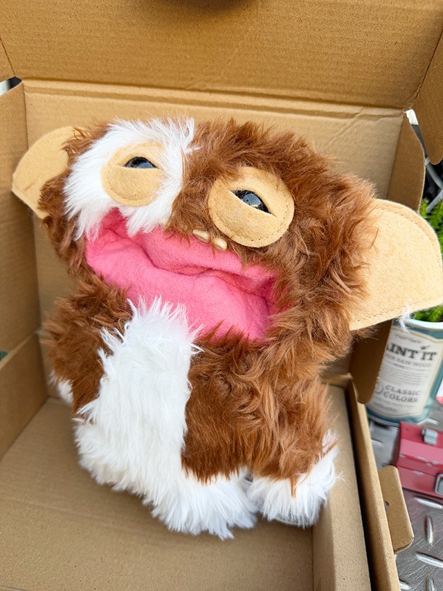 ファグラー × グレムリン （ギズモ） 海外で話題のキモくてかわいい