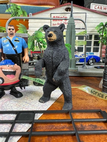 ֥å٥ե奢ưʪꥢե奢