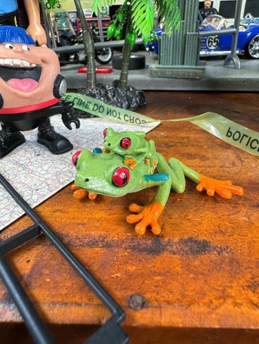 ᥢޥ롡ե奢ξꥢե奢