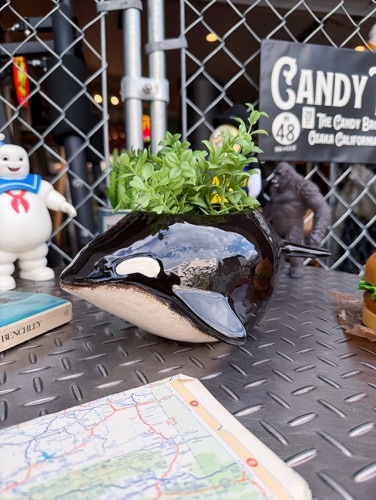 ���β��ԡ���������ץ�󥿡���ƫ����