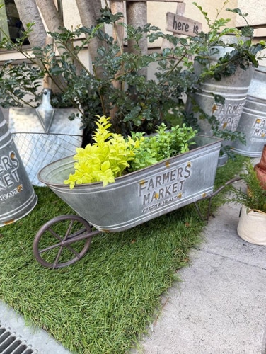 �ե����ޡ����ޡ����åȡ������ǥ󥫡��ȡ����ؼ�