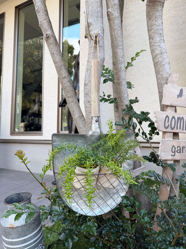 生活雑貨/キッチン雑貨 | CandyTower